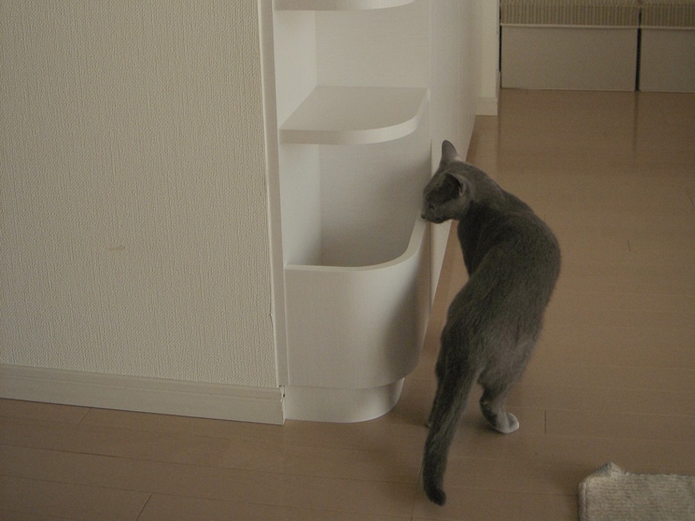 ブックラックのあるカウンター下収納